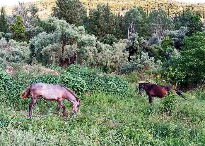 Lily Home_lefkada ~ Private *